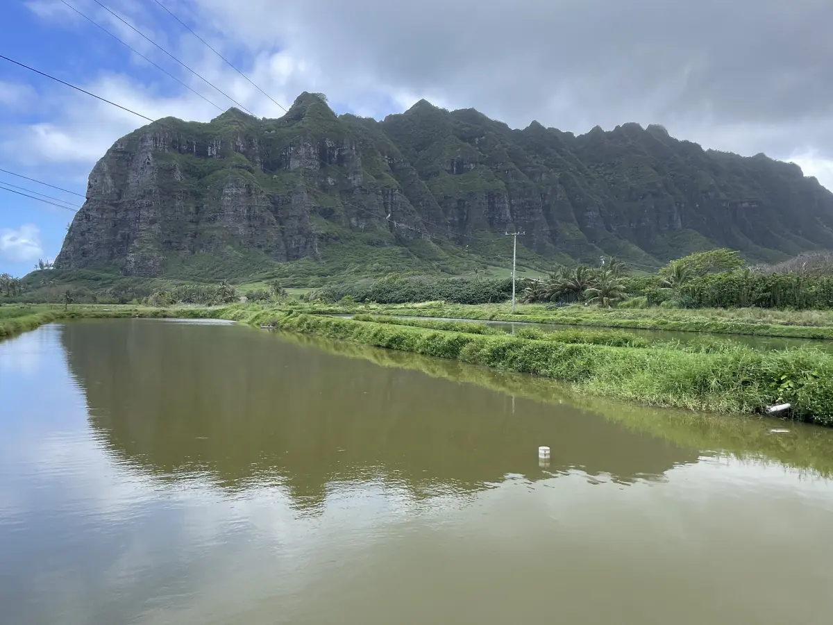 The cliffs above Kualoa Ranch
